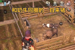 明日之后2月25日开个箱金钥匙答案是什么？如何获取？