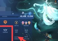 《王者荣耀》中如何展示荣耀印记？