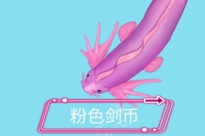 地下城中粉色剑的名称是什么？粉色剑有何特殊属性？