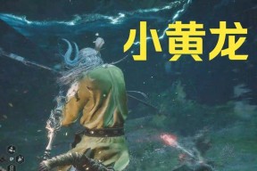 小龙打武器适合哪些场景？