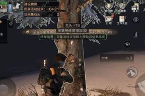 明日之后南希夺旗玩法攻略（南希夺旗玩法解析及攻略分享）
