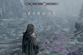 《吸血鬼新娘》游戏完全攻略（从入门到精通）