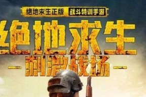 绝地求生吃鸡技巧大全（玩转吃鸡游戏）