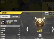 《使命召唤手游KD值的意义与应用》（揭秘KD值对于玩家的重要性及战绩分析技巧）