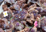 紫矿获取途径是什么？