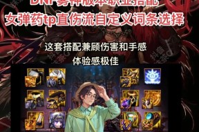 DNF弹药专家推荐套装是什么？套装属性有何特点？