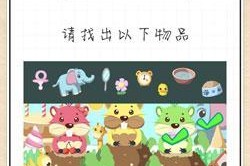 收纳物语第十七关通关技巧是什么？最强大脑如何顺利过关？