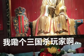 诸葛亮太惨了（历经千辛万苦）