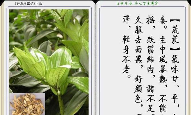 《神州大陆上的草药猎人》（如何以最省钱的方式采集草药）  第1张