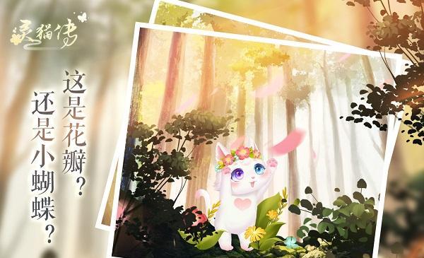 以灵猫传灵猫（游戏中如何获得灵猫）  第2张