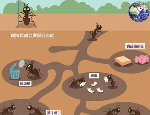 《龙之谷手游狮进击-蝎巢穴攻略》（探寻巢穴深处的秘密）  第2张