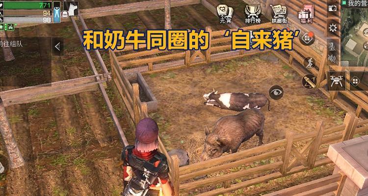 明日之后2月25日开个箱金钥匙答案是什么？如何获取？  第1张