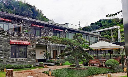 原神古岩之若龙阵容怎么搭配？打法攻略有哪些？  第3张