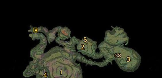 魔兽世界菲拉卡怎么打副本？最佳攻略是什么？  第2张