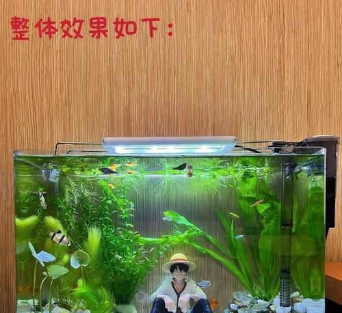 魔兽世界布景鱼缸获取方法是什么？  第2张