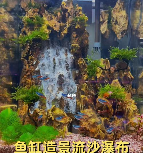 魔兽世界布景鱼缸获取方法是什么？  第3张