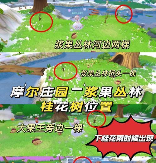摩尔庄园神树种植方法是什么？需要注意什么？  第2张
