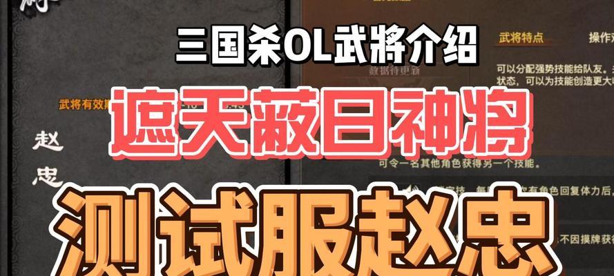 三国杀赵忠搭配技巧是什么？如何发挥最大效果？  第2张