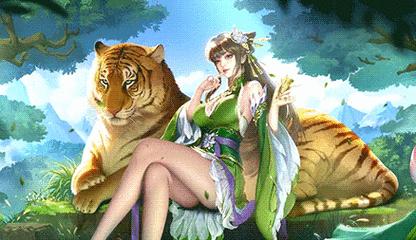 三国杀动态皮肤展示功能的具体含义是什么？  第3张