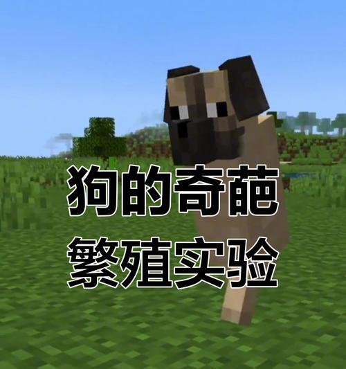 我的世界中狗繁殖的正确方式？  第3张