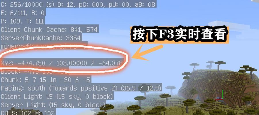 我的世界中大葱的获取位置是什么？  第3张