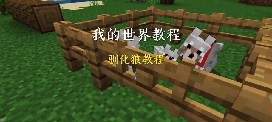 我的世界驯化如何取名？驯化取名的方法是什么？  第3张