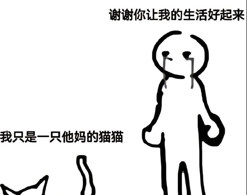 我的世界中如何带走猫？带走猫的正确方法是什么？  第2张