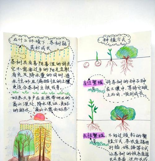 我的世界中茶叶种植方法是什么？  第1张