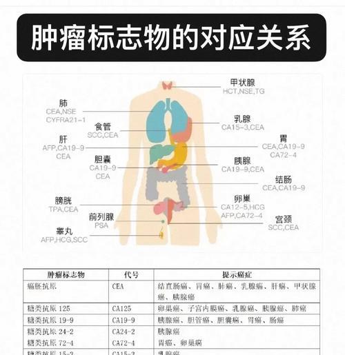 《肿瘤医生攻略》（11关攻略大揭秘）  第2张